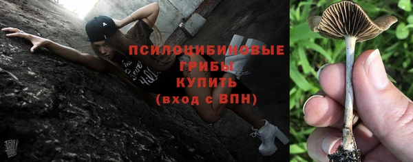 прущий лед Алексин