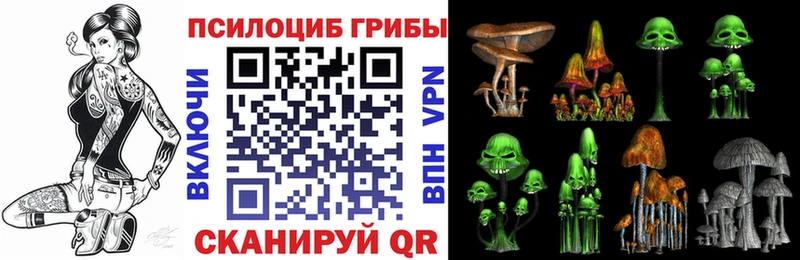 Галлюциногенные грибы Psilocybine cubensis  купить  сайты  Туринск 